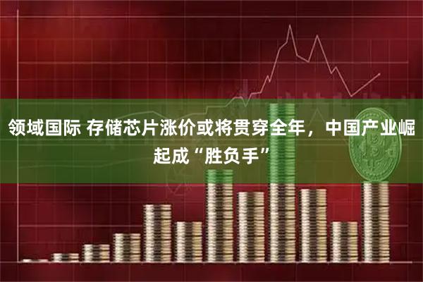 领域国际 存储芯片涨价或将贯穿全年，中国产业崛起成“胜负手”