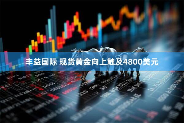 丰益国际 现货黄金向上触及4800美元