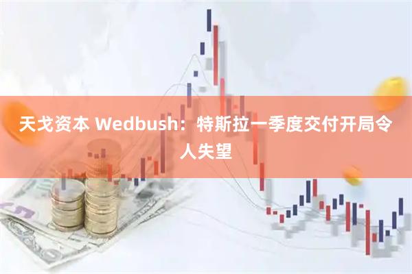 天戈资本 Wedbush：特斯拉一季度交付开局令人失望